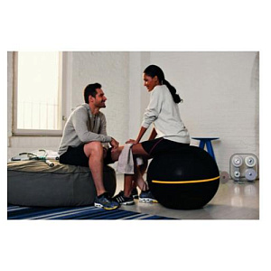 Купить Technogym Wellness Ball – Active Sitting	 в Москве