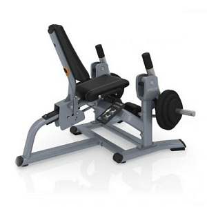 Купить Нагружаемый дисками тренажер Precor Discovery Line DPL 560 в Москве