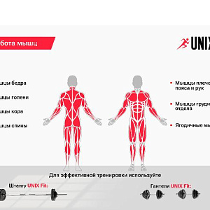 Купить Скамья Unix Fit BENCH 130 силовая универсальная в Москве