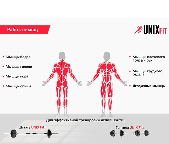 Скамья силовая универсальная Unix Fit BENCH 110 фото10