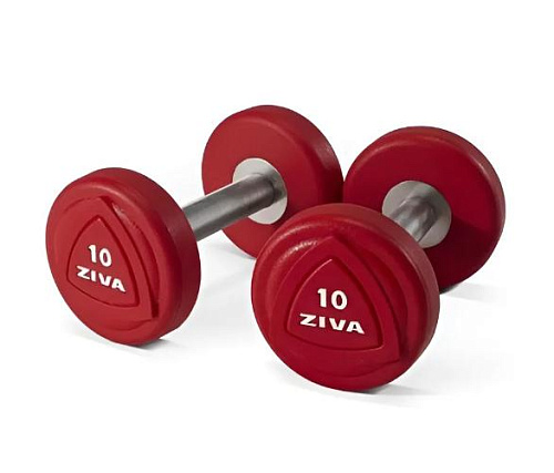 Купить Гантели уретановые Ziva ZVO-DBPU-1310 9 кг (пара) в Москве