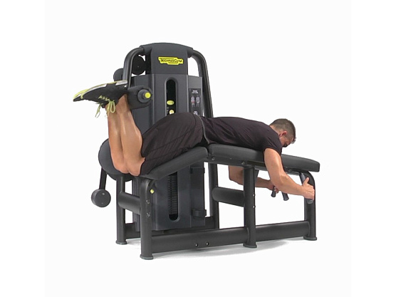 Сгибание ног Technogym Selection 900 Prone Leg Curl фото2