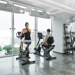 Вертикальный велотренажер Vision U60 Купить Вертикальный велотренажер Vision U60 в Москве