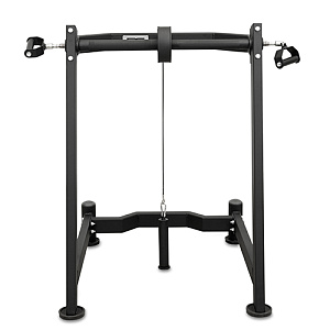 Купить Нагружаемый дисками тренажер Bronze Gym PARTNER BGR-813 тренажёр для предплечий в Москве