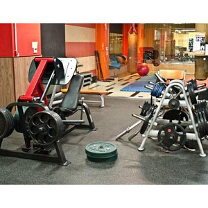 Купить Нагружаемый дисками тренажер Aerofit Impulse SL7006 Жим ногами в Москве