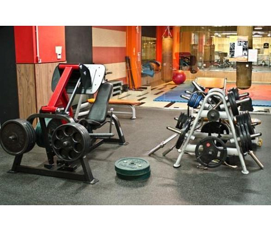 Жим ногами Aerofit Impulse SL7006 фото2