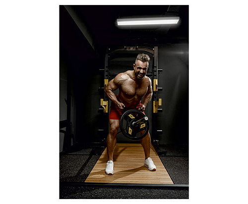 Силовая стойка + помост Ultra Gym UG-ХМ167