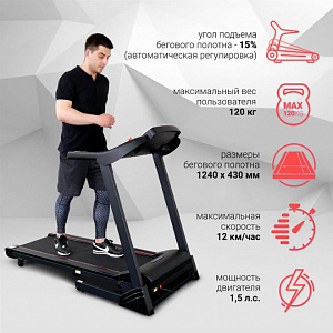 Купить Беговая дорожка Everyfit 74305B в Москве