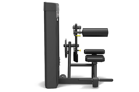 Пресс-машина Spirit Fitness SP-4309 фото2