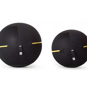 Купить Technogym Wellness Ball – Active Sitting	 в Москве
