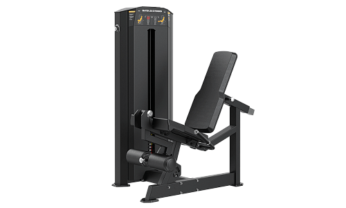 Купить Разгибание ног сидя Hasttings KS1065 в Москве