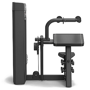 Купить Грузоблочный тренажер Spirit Fitness SP-4308 Трицепс в Москве