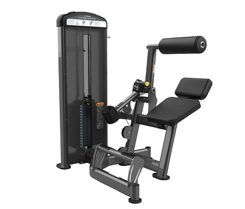 Купить Разгибание спины True Fitness FUSE-1300 в Москве