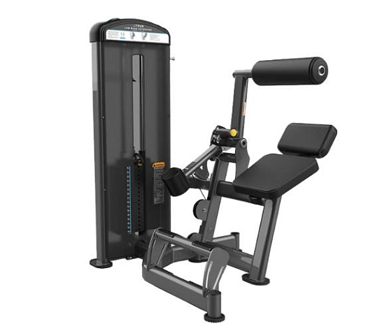 Разгибание спины True Fitness FUSE-1300
