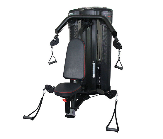 Грудь и плечи Inspire DMCS