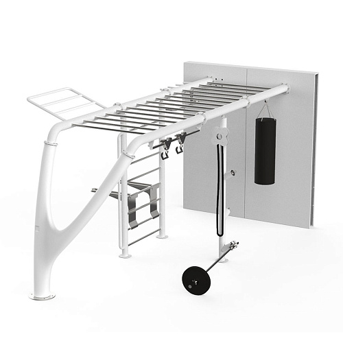 Купить Уличный тренажер MyEquilibria MYBEAST ON WALL в Москве