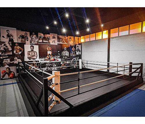 Ринг боксерский в силовой раме Targex 700х700