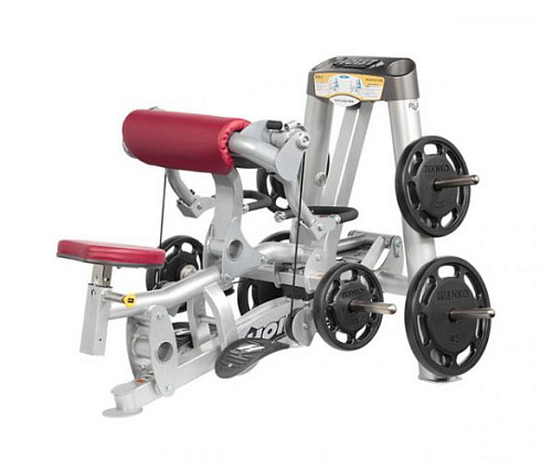 Гребная тяга Hoist RPL-5102 (Free Weights)