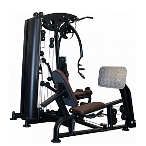 Купить Мультистанция Smith Fitness Excellence F1 + Жим ногами F1LP в Москве