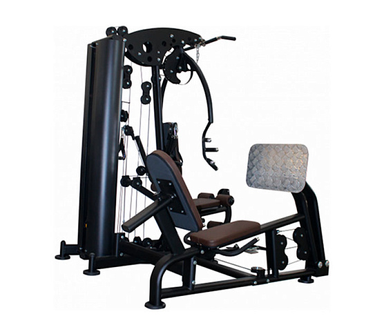 Мультистанция + жим ногами Smith Fitness Excellence F1 + F1LP фото2