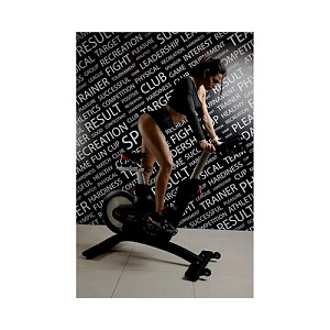 Купить Сайкл Ultra Gym UG-B004 в Москве
