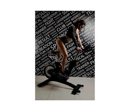 Сайкл Ultra Gym UG-B004