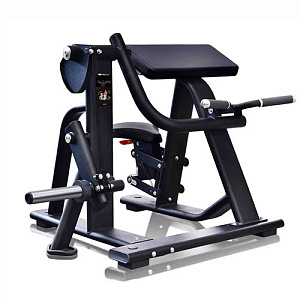 Купить Силовой тренажер Ultra Gym Бицепс-машина UG-CL613 в Москве