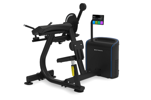 Бицепс Трицепс сидя Spirit Fitness I-STRENTGH IS-2002