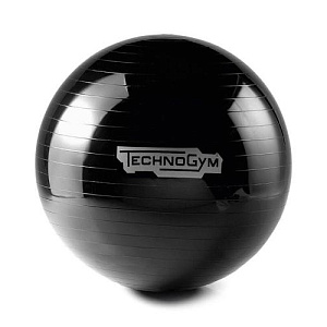 Купить Technogym Мяч Wellness  в Москве