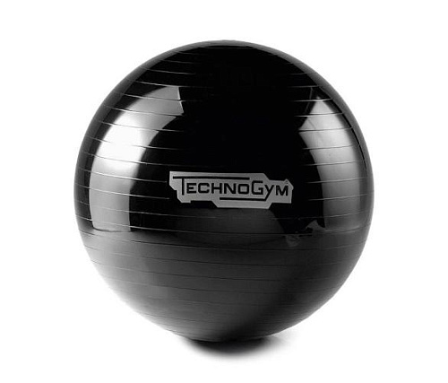 Мяч для фитнеса Technogym Wellness