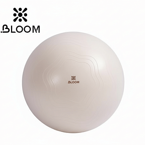 Купить Bloom Комплект для йоги Bloom 1 в Москве