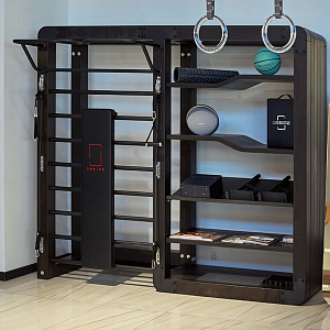 Купить Система хранения аксессуаров и шведская стенка Desire Eco Rack в Москве