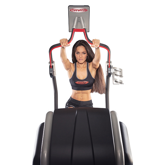 Лестница Panatta EcoClimber фото2