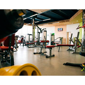 Купить Нагружаемый дисками тренажер Aerofit Impulse IFCR Тренажер для икроножных мышц в Москве