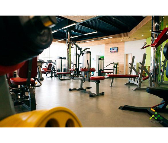 Тренажер для икроножных мышц Aerofit Impulse IFCR (нагружаемый дисками) фото1