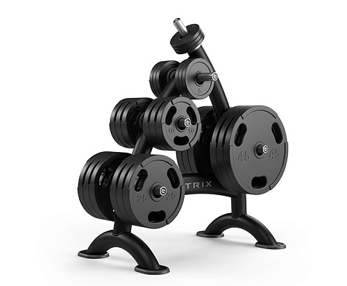 Купить Стойка для весовых дисков Matrix Fitness Magnum MG-A94 в Москве