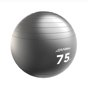 Купить Фитбол Life Fitness Stability Ball в Москве