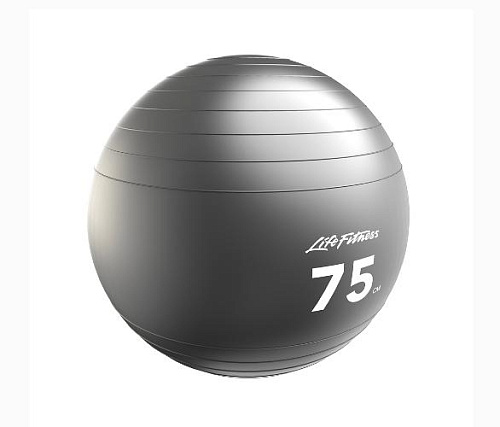 Фитбол Life Fitness Stability Ball
