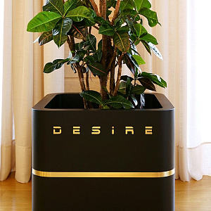 Купить Кашпо для комнатных растений или бокс для хранения Desire Cube в Москве