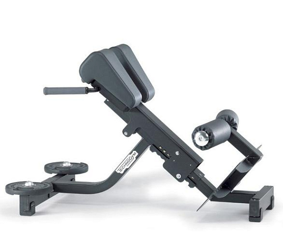 Technogym Lower Back Bench Pure
