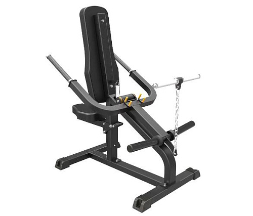 Бицепс Aerofit Impulse IFP1706 / Трицепс Aerofit Impulse IFP1706 (2 в 1) Купить Бицепс Aerofit Impulse IFP1706 / Трицепс Aerofit Impulse IFP1706 (2 в 1) в Москве