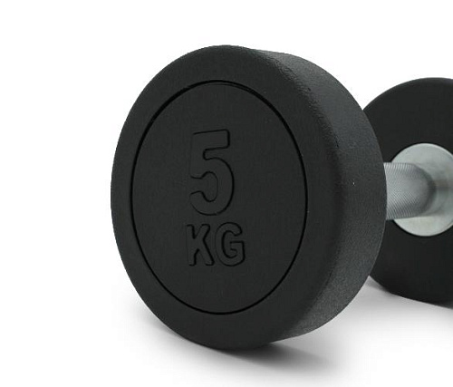 Гантель круглая обрезиненная Unix Fit PRO 5 кг / шт.