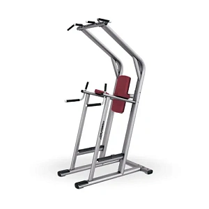 Пресс / Брусья / Турник Life Fitness SCDLR