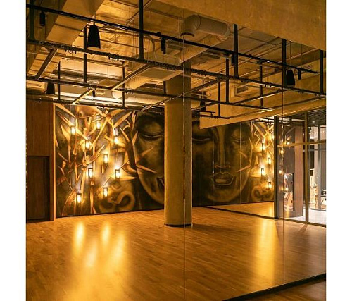 Купить Подвесная система для антигравити йоги Targex Модель 4 в Москве