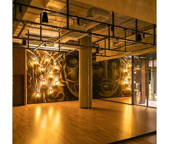 Подвесная система для антигравити йоги Targex Модель 4