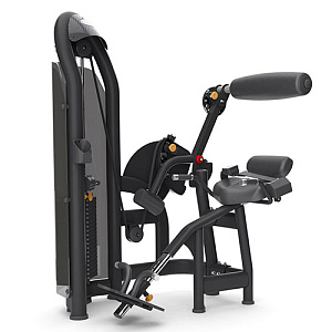 Купить Грузоблочный тренажер Matrix Fitness G3-S52_7 Разгибание спины в Москве