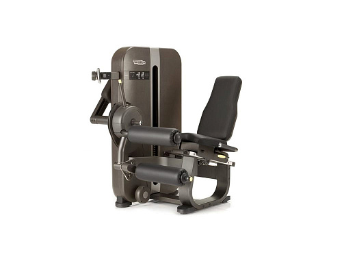 Сгибание ног Technogym Artis Leg Curl