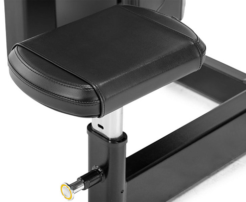 Торс-машина Freemotion Fitness Epic ES818