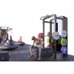 Купить Уличный комплекс Desire Gym Portal в Москве