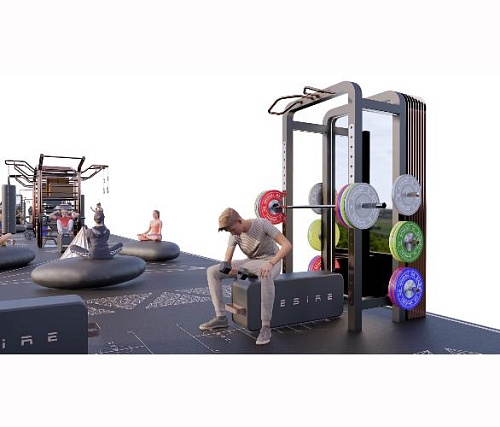 Уличный комплекс Desire Gym Portal